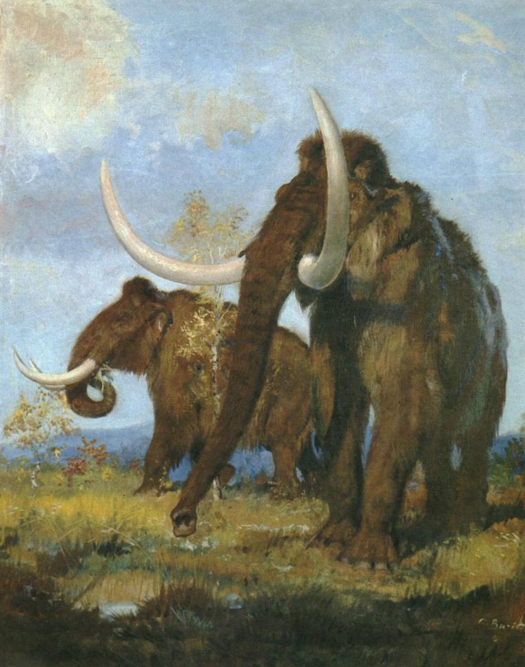 chetvert Мамонт