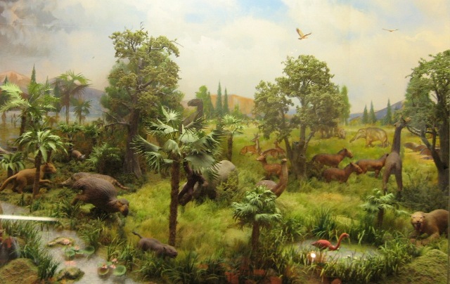 chetvert Флора и фауна