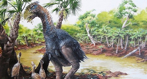 eocen Гигантская птица оказалась травоядной